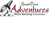 Great Orca WebRes